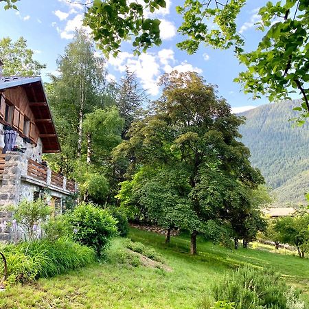 Chalet Le Tilleul Valdeblore Buitenkant foto