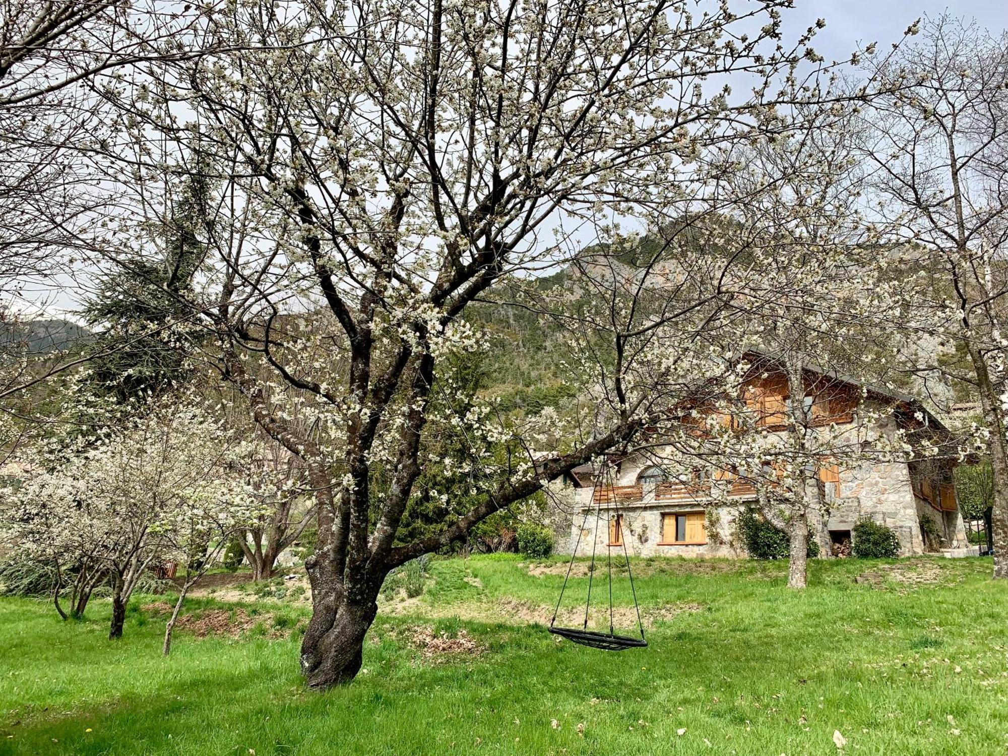 Chalet Le Tilleul Valdeblore Buitenkant foto