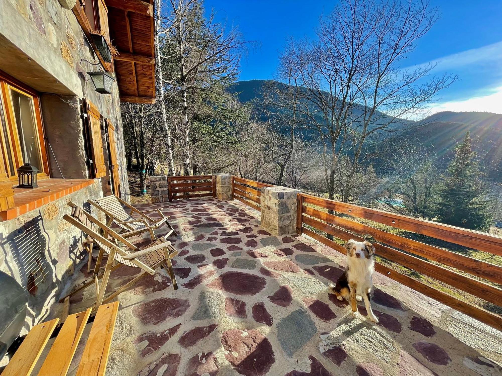 Chalet Le Tilleul Valdeblore Buitenkant foto